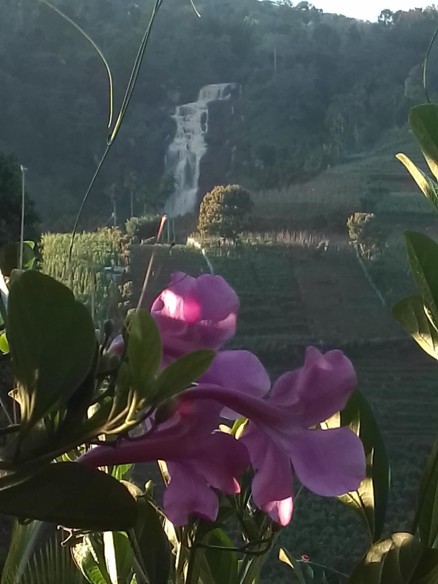 Cascade Vally Ella Buitenkant foto
